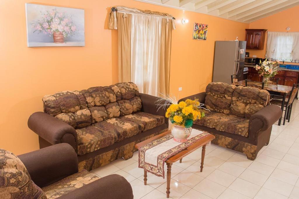 Perfect Vacation Villa Montego Bay Extérieur photo